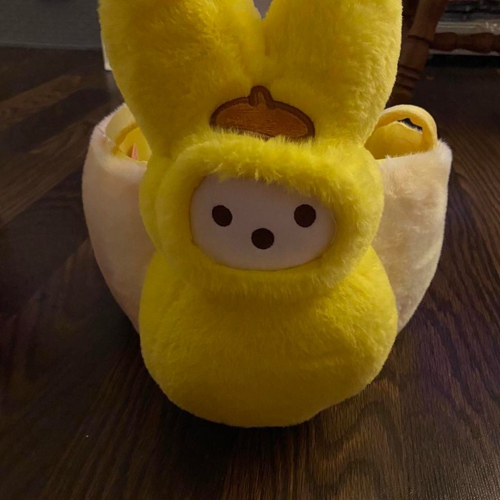 Sanrio Pompompurin Easter basket🌸